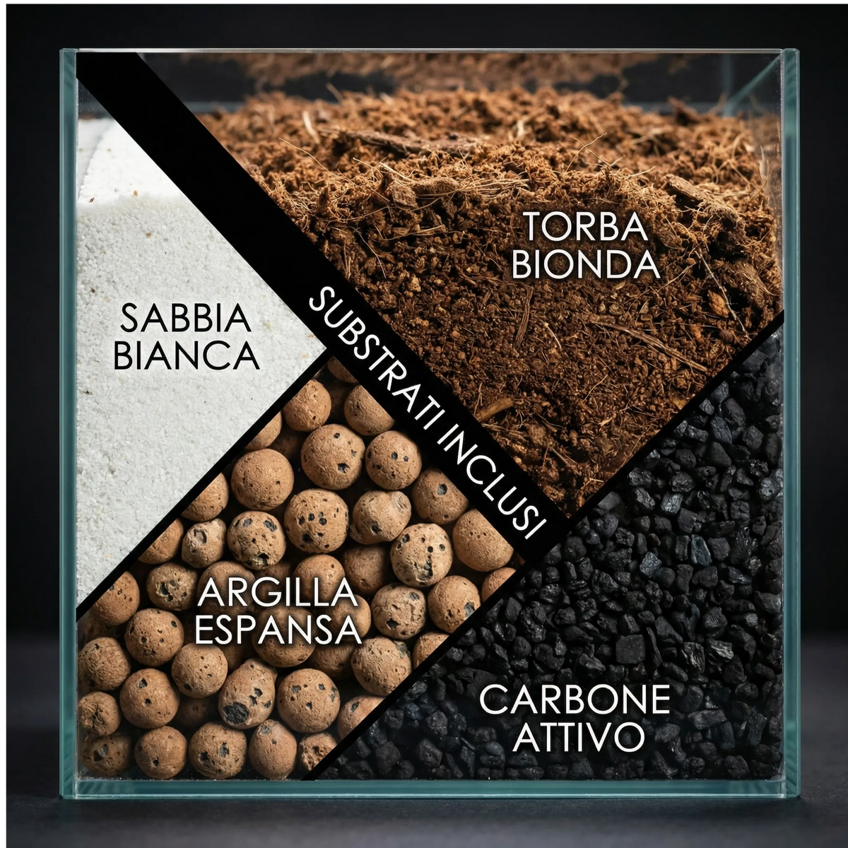 Kit per terrarium fai da te con piantine senza contenitore